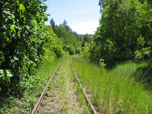 wiosna na torach